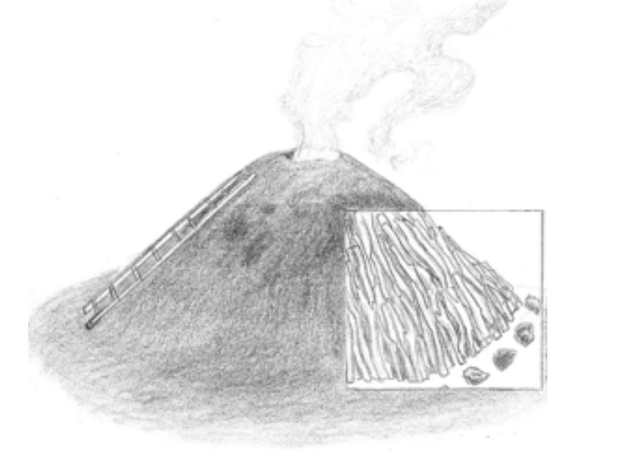 Usos pasados y conservación activa de un robledal